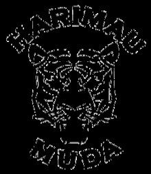 Harimau Muda C httpsuploadwikimediaorgwikipediaenthumb3