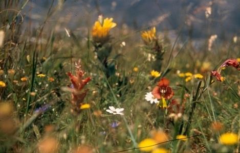 Harmony Flats Nature Reserve