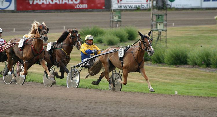 Harness racing in Finland