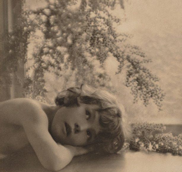 Harold Cazneaux Works by Harold Cazneaux The Collection Art Gallery NSW