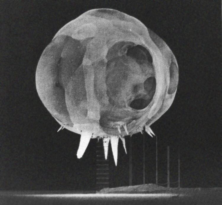 Harold Eugene Edgerton Harold Eugene Edgerton and the High Speed Photography