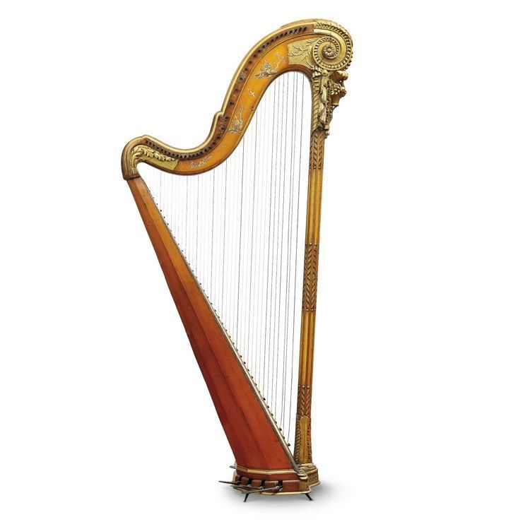 Harp What Is A Harp Harp Facts For Kids DK Find Out