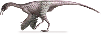 Harpymimus HARPYMIMUS DinoChecker dinosaur archive