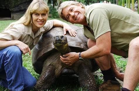 Harriet (tortoise) Darwin39s tortoise39 dies at 176 World news AsiaPacific NBC News