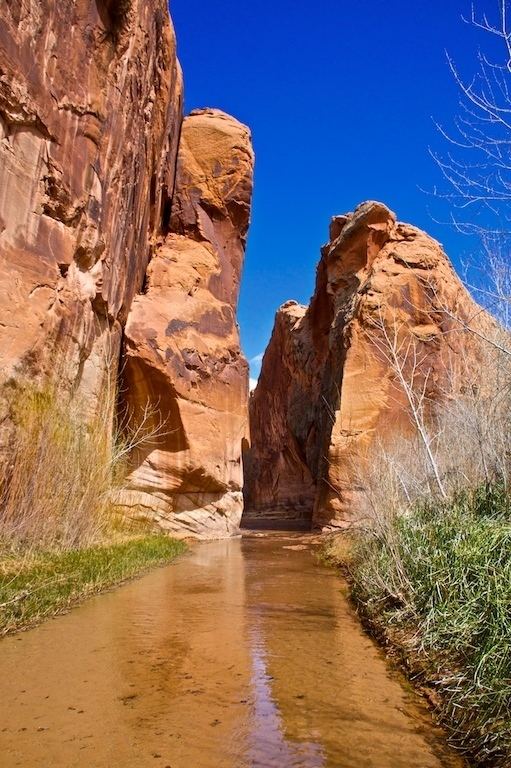 Harris Wash Canyons of the Escalante