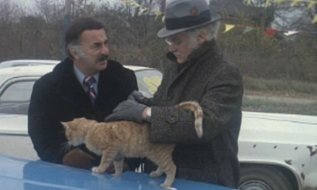 Harry and Tonto Harry Tonto 1974 Cinema Cats