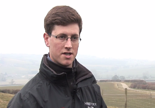 Harry Fry (racehorse trainer) Trainer Profile Harry Fry
