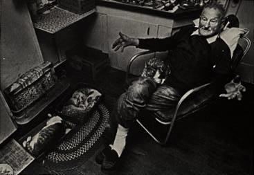 Harry Randall Truman harry truman and his 16 cats
