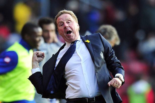 Harry Redknapp England would already have qualified for the World Cup had Harry