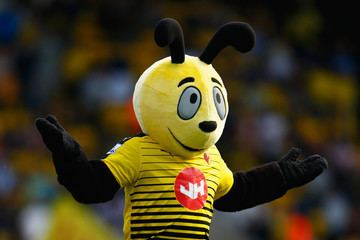 Harry the Hornet Harry the Hornet Pictures Photos amp Images Zimbio