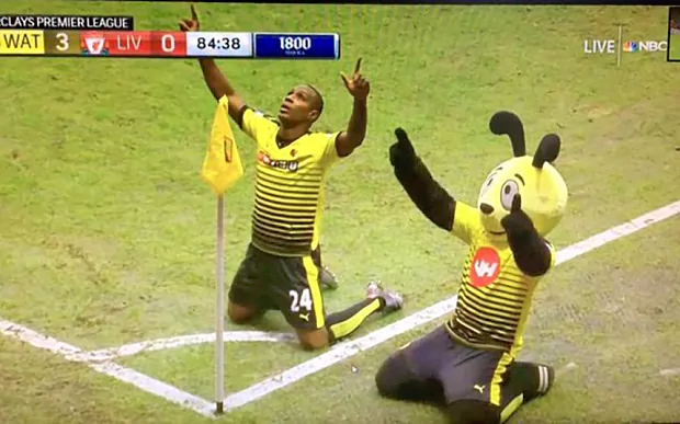Harry the Hornet Watch Watford39s Harry the Hornet joins in Ighalo goal celebration