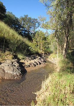 Harshaw Creek httpsuploadwikimediaorgwikipediacommonsthu
