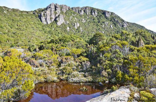 Hartz Mountains (Tasmania) Hartz Mountains National Park A Year on the Apple Isle