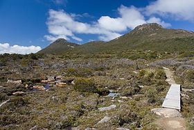 Hartz Mountains (Tasmania) httpsuploadwikimediaorgwikipediacommonsthu
