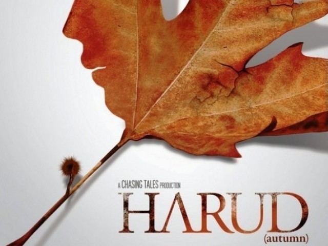 Harud Harud The story of a soulless Kashmir The Express Tribune Blog