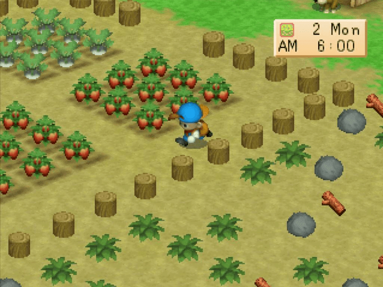 Harvest Moon: Back to Nature Harvest moon Back to Nature Review Rambling Fox Gaming Reviews