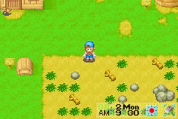 harvest moon friends of mineral town roms