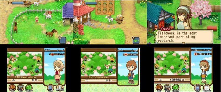 Harvest Moon: The Tale of Two Towns Harvest Moon A Tale of Two Towns Nintendo DS TheHutcom