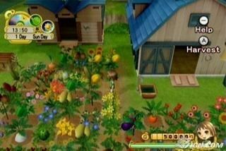 Harvest Moon: Tree of Tranquility Harvest Moon Tree of Tranquility Wii IGN