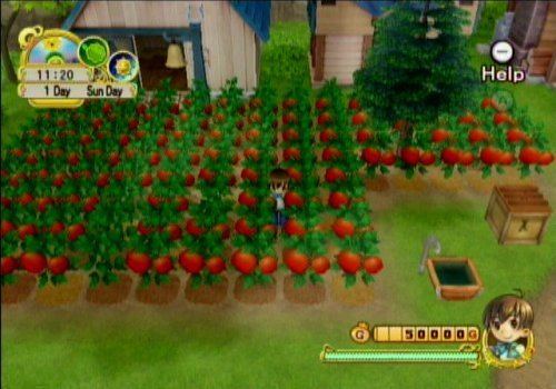 Harvest Moon: Tree of Tranquility Amazoncom Harvest Moon Tree of Tranquility Nintendo Wii Video