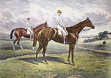 Harvester (horse) httpsuploadwikimediaorgwikipediacommonsthu