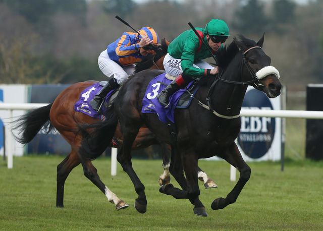 Harzand (horse) Epsom Derby Preview THE INSIDE TRACK
