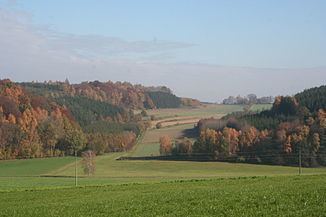 Haselbach (Kammel) httpsuploadwikimediaorgwikipediacommonsthu