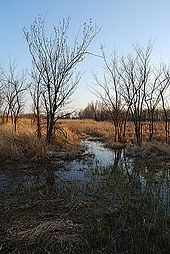 Haskell-Baker Wetlands httpsuploadwikimediaorgwikipediacommonsthu