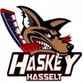 Haskey Hasselt httpswwwrbihfbeimagesuclub165x165xHAS14