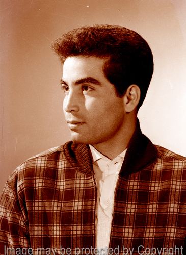 Hassan Youssef (actor) Portrait of Actor Hassan Youssef