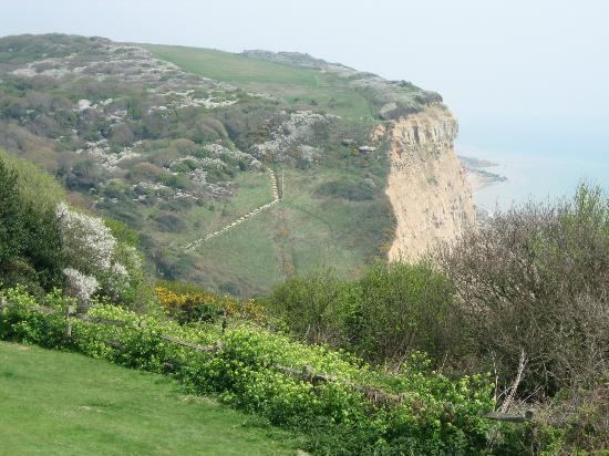 Hastings Country Park Ecclesbourne glen Hastings Country Park Picture of Hastings