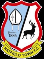 Hatfield Town F.C. httpsuploadwikimediaorgwikipediaenthumb4