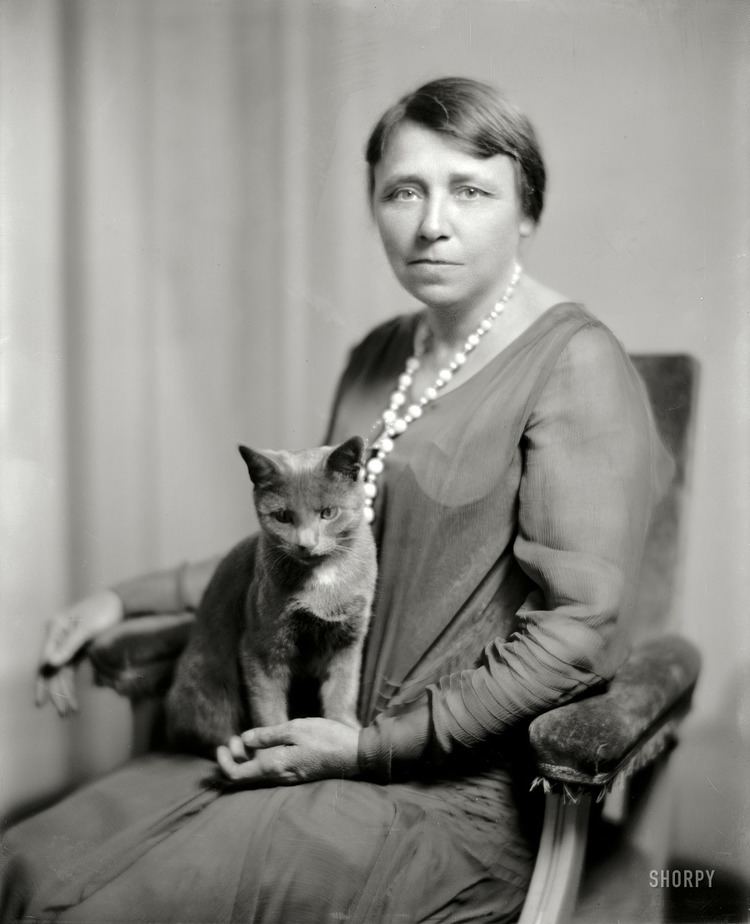 Hattie Caraway Shorpy Historic Picture Archive Hattie and the Cat