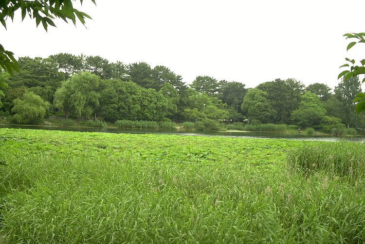 Hattori Ryokuchi Park