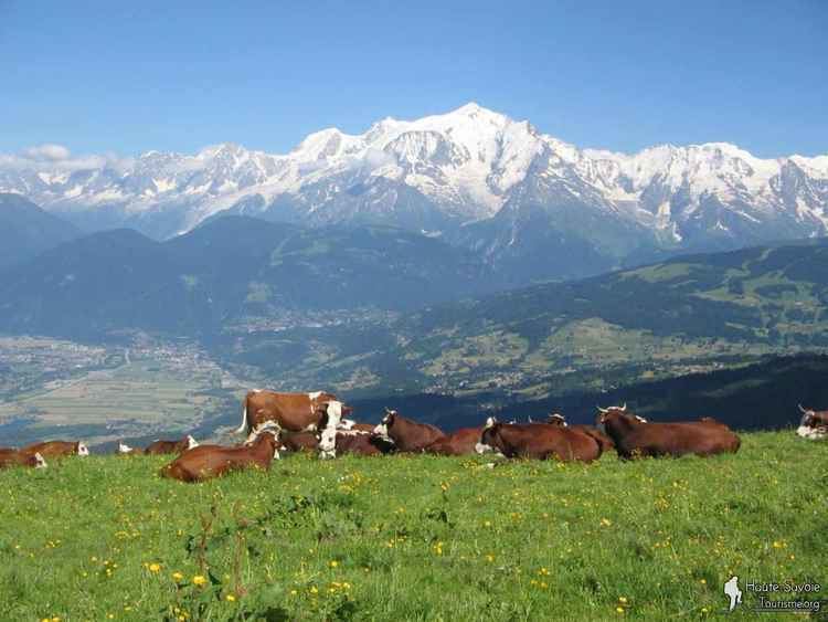 Haute-Savoie wwwhautesavoietourismeorgimages1400x1400do