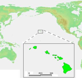 Hawaii Territory's at-large congressional district