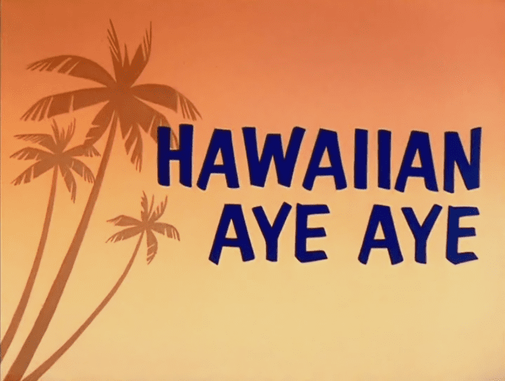 Hawaiian Aye Aye Hawaiian Aye Aye