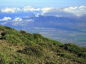 Hawaiian tropical high shrublands httpsuploadwikimediaorgwikipediacommonsthu