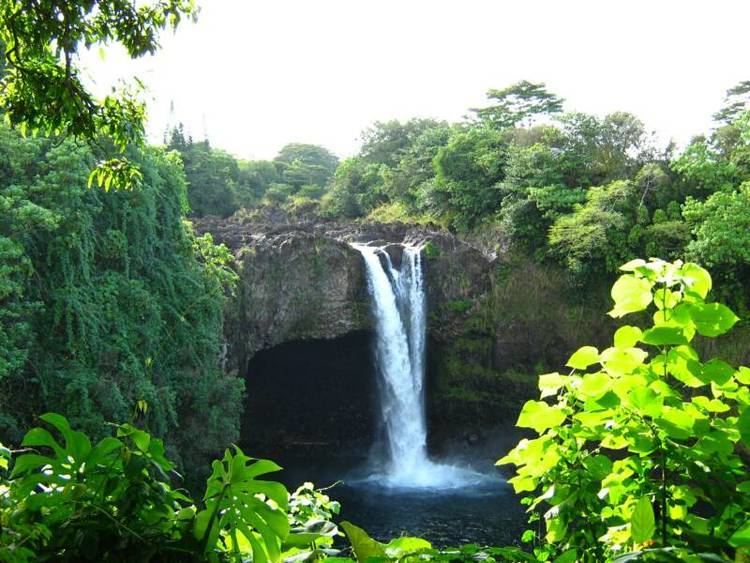 Hawaiian tropical rainforests hawaiian tropical rainforest Gallery