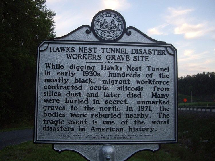 Hawks Nest Tunnel disaster Hawks Nest Tunnel Disaster Workers Grave Site Image