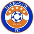 Hayes Gate F.C. httpsuploadwikimediaorgwikipediaendd4Hay