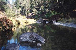 Hayfork Creek httpsuploadwikimediaorgwikipediacommonsthu