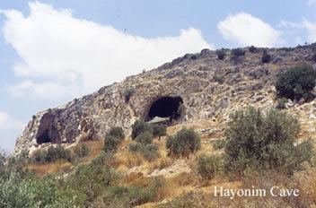 HaYonim Cave Dr Mary C Stiner Research Areas