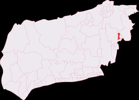 Haywards Heath Town (electoral division)