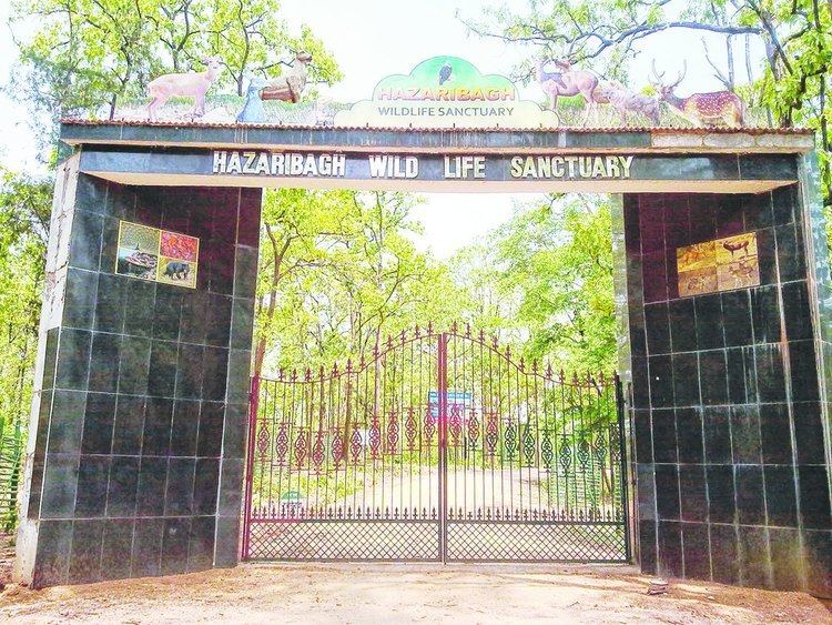 Hazaribag Wildlife Sanctuary Safari boost to tourist footfall