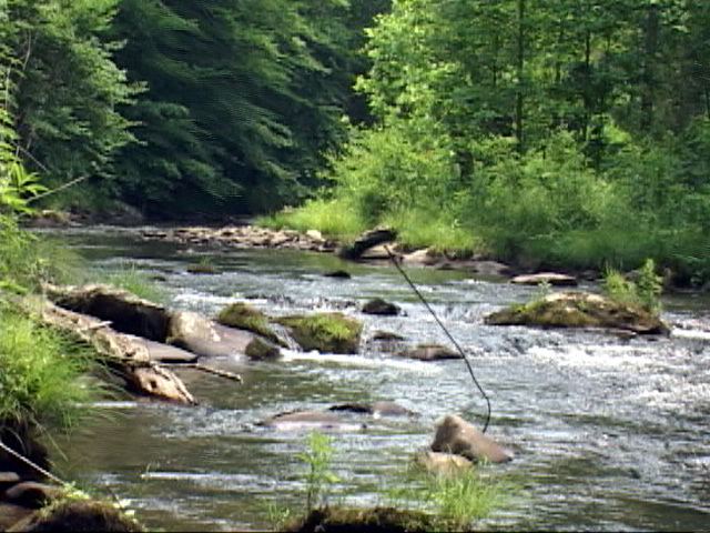 Hazel Creek (Great Smoky Mountains) wwwflyfishingsmokymountainscomimageshazelcks