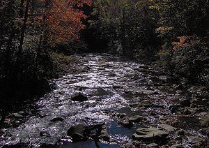 Hazel Creek (Great Smoky Mountains) Hazel Creek Great Smoky Mountains Wikipedia