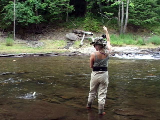 Hazel Creek (Great Smoky Mountains) Fly Fishing the Great Smoky Mountain National Park Hazel Creek