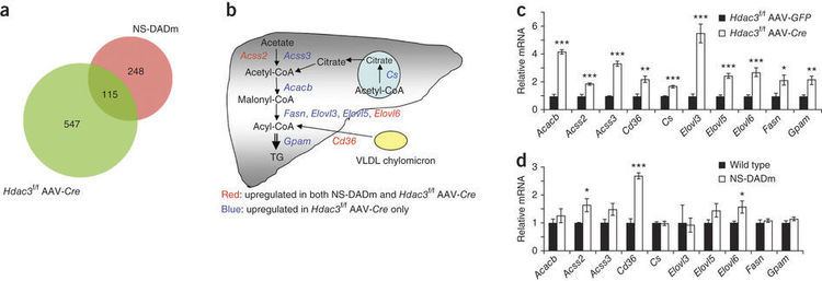 HDAC3 Gene expression changes in NSDADm livers were mild compared to
