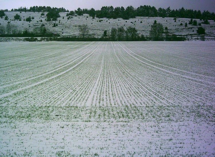 Headland (agriculture)